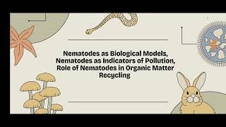 Nematodes as Biological Model  Nematology Beneficial Nematodes [upl. by Rebah607]