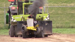 WAMBO 2024 diesel 1250lb garden tractor pull [upl. by Nafri]