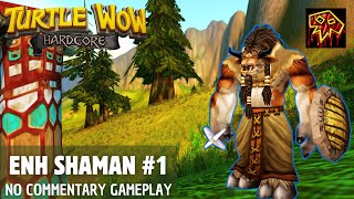 Turtle WoW  HC Shaman Gameplay 1 [upl. by Wu746]