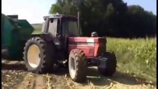 Case IH 1455XL Sound [upl. by Irvin428]