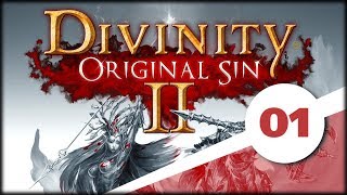 Divinity Original Sin II 1 Zaczynamy od początku [upl. by Yorgerg]