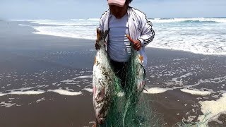 Este pescador no se percató que al jalar la red venían dos enormes peces atrapados [upl. by Einoj]