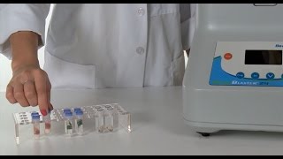 How to use the BeadBlaster 24 Homogenizer for Cell Lysis [upl. by Liuqnoj]