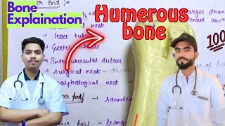 👨‍⚕️🩺🦴 Humerous BoneMBBS🤯 Bone Explanationchartsdoctor mbbs anatomyaiimsbones medico [upl. by Goraud]