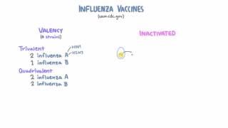 Understanding Vaccine Hesitancy [upl. by Iluj646]