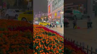 Chongqing city of beauty…travel chongqing chongqingchina studentlife china [upl. by Tdnerb]