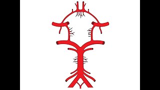 USMLE Step 2 CK Plus  Chapter 2 Neurology  Lacunar Stroke Syndromes [upl. by Vijar]