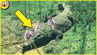 Les 7 Plus Gros Crocodiles Jamais Filmés [upl. by Meill]