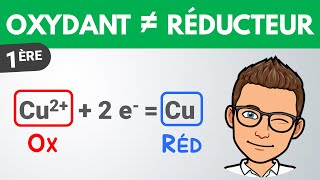 OXYDANT et RÉDUCTEUR ✔️ Vocabulaire  1ère spé  Physique Chimie [upl. by Oderfodog]