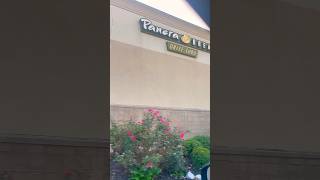 Panera bread new sandwich review shortvideo shortfood sandwich [upl. by Rabi]