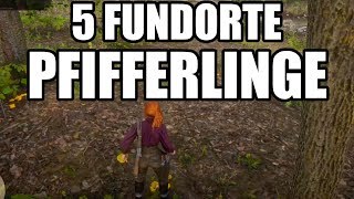 Pfifferling 5 Fundorte Red Dead Redemption 2 Deutsch  German [upl. by Anelehs]