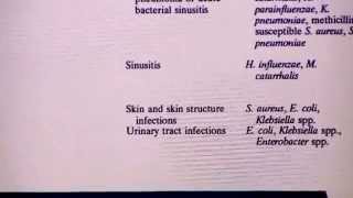 INHIBIDORES DE BETALACTAMASA PARTE 3 USO SEGURO DE ANTIMICROBIANOS [upl. by Nauqed428]