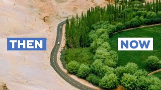 Can Chinas Great Green Wall Stop Its Deserts From Spreading [upl. by Zoi]