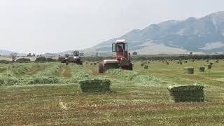 Self propelled Freeman balers [upl. by Ludba]