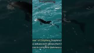 sixthsensemalayalam of dolphin adventure advance complete darkness facts science earth [upl. by Meng]