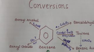 ConversionsClass 11 Chemistry Hydrocarbon Benzene Interconversions [upl. by Alemac712]