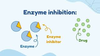 Enzyme Induction VS Enzyme Inhibition [upl. by Seed]