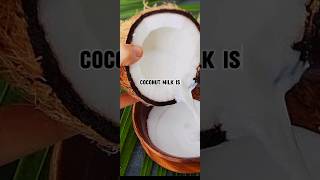 Why you should include coconut milk in your dietcoconutmilkcoconutbenefitsshortssubscribe [upl. by Marris]