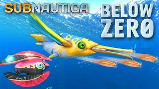 НОВАЯ РЫБА ПУЛЕМЕТ  МУЗЫКАЛЬНЫЙ АППАРАТ  ОБНОВЛЕНИЕ В  Subnautica Below Zero [upl. by Nieberg]