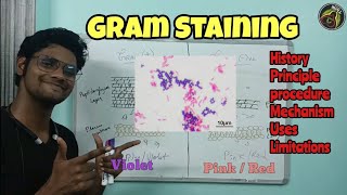 Gram Staining  Microbiology  Principle  Procedure  Tamil  Uses  Limitation ThiNK Biology TNK [upl. by Ivor931]