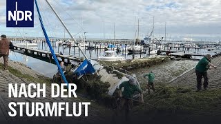 SchleswigHolstein Nach der JahrhundertSturmflut  Die Nordreportage  NDR Doku [upl. by Atik]