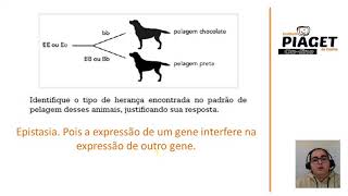 Correção de Exercícios  Parte 1 [upl. by Burkitt372]