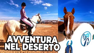 A CAVALLO nel DESERTO di HURGADA Escursione con EQUESTRIAN DREAM  Egitto [upl. by Heidie]