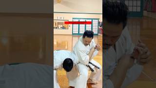 Wrist Lock Manipulation Pt 2 uechiryu karate shokenschoolofkarate shorts [upl. by Ihcas]