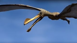 King of the Skies  Walking with Dinosaurs in HQ  BBC Earth [upl. by Alsworth]