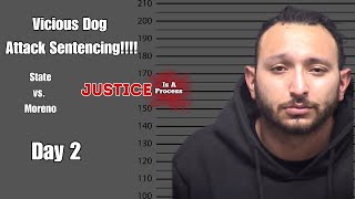 LIVE COURT WATCH Vicious Dog Attack Sentencing Hearing  Day 2 [upl. by Negaet]