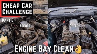 Clean Engine Bay Spotless Holden Commodore Cheap Car Challenge PT3 [upl. by Tterab]