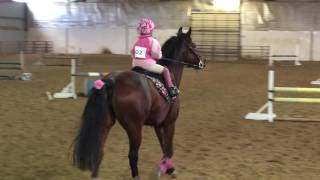 5 year old jumping 26quot Jumping Course  Kinsley and Ruby [upl. by Nwavahs]