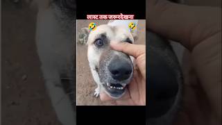 dog funny reels video 🤫Tamil funny video status 😊 trending reel video😊 status comedy🤪 [upl. by Eesdnyl525]