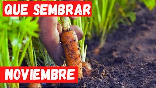 QUE PLANTAR en NOVIEMBRE CALENDARIO de SIEMBRA TODO lo que PUEDES SEMBRAR [upl. by Galitea565]