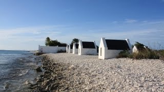 Bonaire Divers Paradise [upl. by Dlanar]