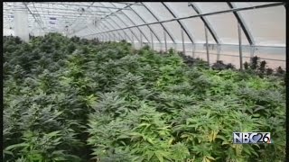 Menominee Marijuana Plans [upl. by Checani]