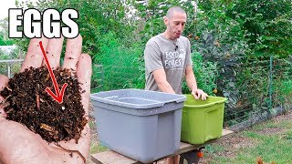 How to Make a Worm Composting Bin Quick Simple and Inexpensive Gardening [upl. by Karney629]