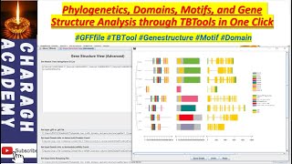 Phylogenetics Domains Motifs and Gene Structure Analysis through TBTools in One Click [upl. by Terina]