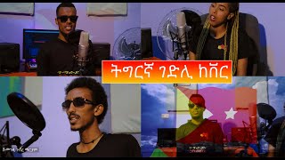 New Tigrigna Gedli Cover Music  ኲናት ዝሃሰያ Bini boss Abrihimo wedi dejat Danayt alemseged  T TAP [upl. by Ilatan307]