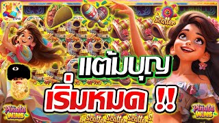 เกม Pinata Wins ➤ PGSLOT  แต้มบุญ เริ่มหมด [upl. by Griffy]