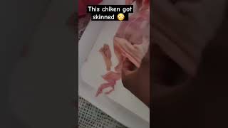 I skinned the chicken 🐔 funny comedy reels [upl. by Tecu279]