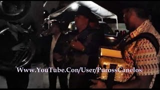 Los Canelos De Durango  El Grande De Chinola En VIvo Tuba Fp Del Mochomo [upl. by Yrram256]