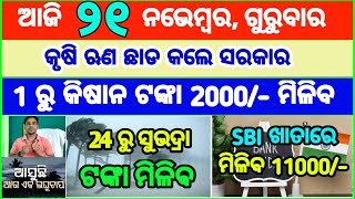 Todays breaking news odisha  Odia News  21 November 2024  CM Kisan subhadra yojana online aply [upl. by Peppi]