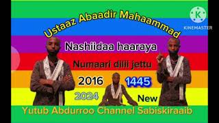 New Nashiidaa haaraya Ustaaz Abaadir mahaammad [upl. by Attenauq]