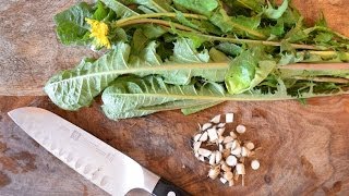 How to harvest prepare and use dandelion leaf and root for beauty and health [upl. by Alonzo]