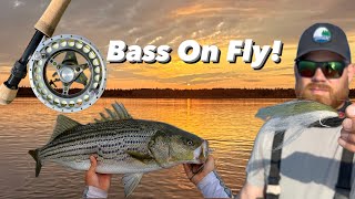 Fly fishing Mayhem Chasing Striped Bass in the smallest province of Canada Prince Edward Island [upl. by Cissiee]