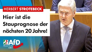 Hier ist die Stauprognose der nächsten 20 Jahre – Herbert Strotebeck AfD [upl. by Haseena50]