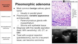 Salivary Gland Neoplasms [upl. by Hansen]