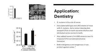 Yussef Duzdar Biochemistry ProjectLactoferrin [upl. by Xonnel]