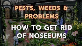 How to Get Rid of NoSeeUms [upl. by Yert]